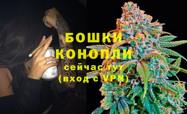 амф Горнозаводск