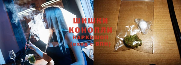 винт Вяземский