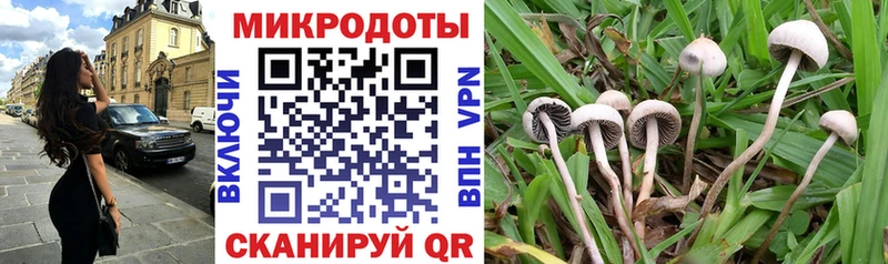 Псилоцибиновые грибы прущие грибы  Нестеровская 