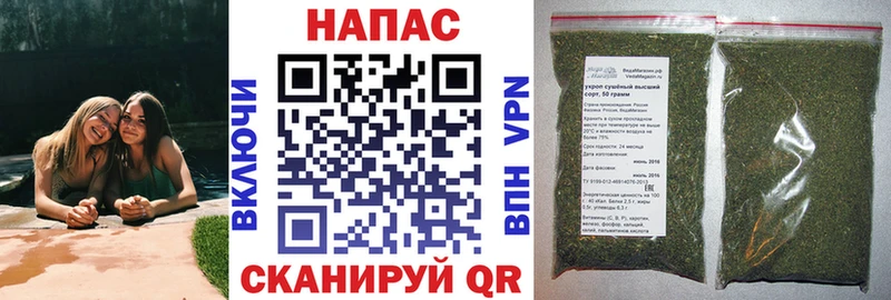 Бошки Шишки семена  Нестеровская 